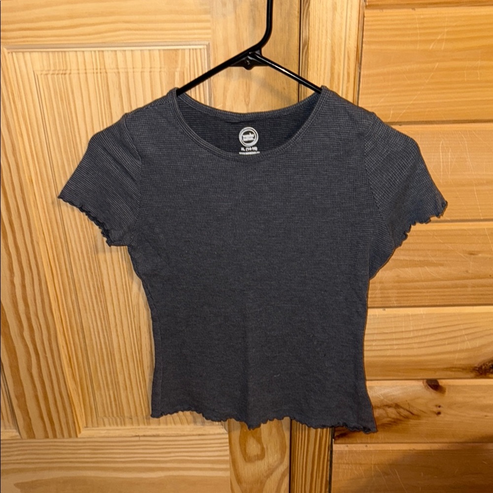 Brandy Melville Gray Fitted Ribbed Short Sleeve Tee
